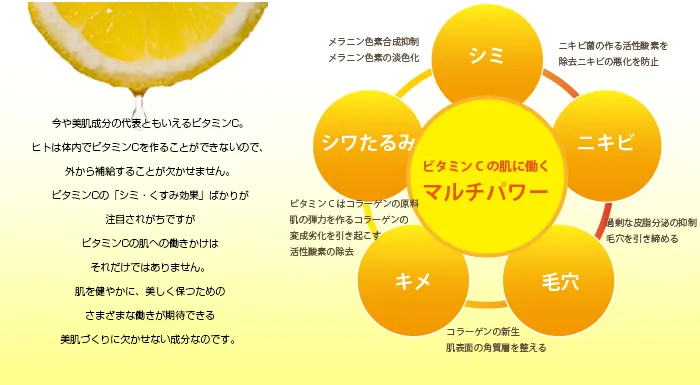 ビタミンCとは?