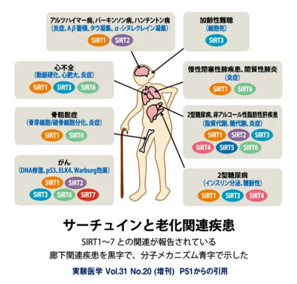 治療効果の期待できる疾病