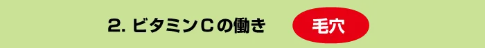 ビタミンC毛穴