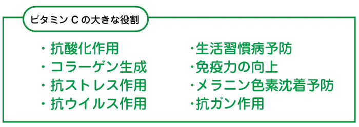 ビタミンCの大きな役割