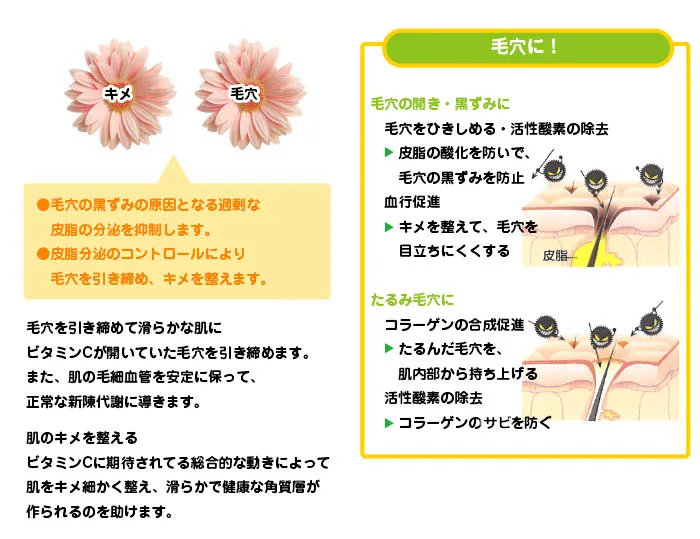 ビタミンC毛穴
