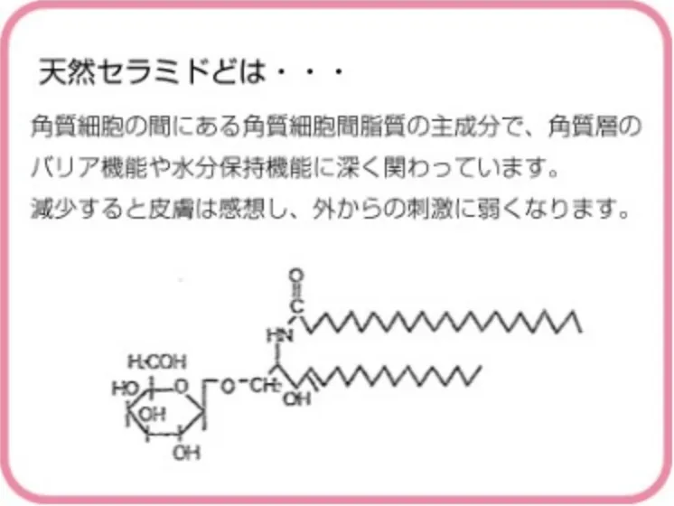 天然セラミドとは1