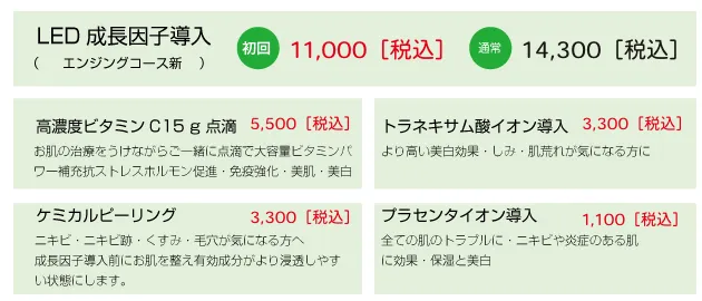 LED 成長因子導入