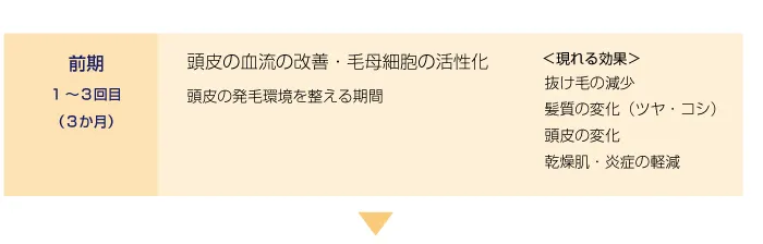 前期