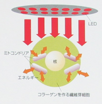 LED光治療の効果