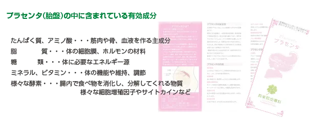 プラセンタ注射